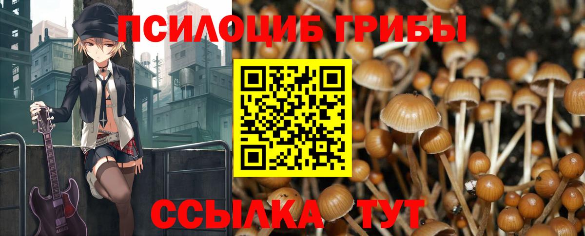Псилоцибиновые грибы Magic Shrooms  Вход с VPN  Избербаш  Псилоцибиновые грибы мухоморы 