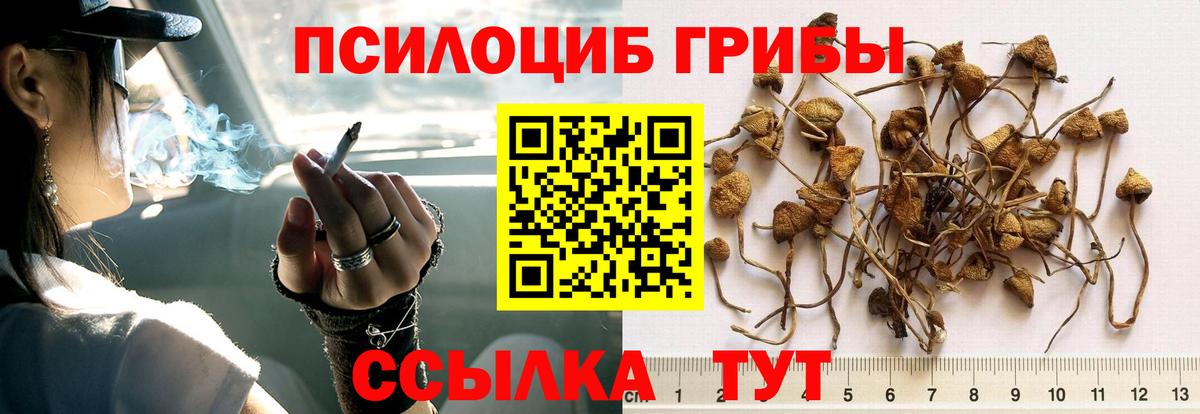 Псилоцибиновые грибы MAGIC MUSHROOMS Избербаш